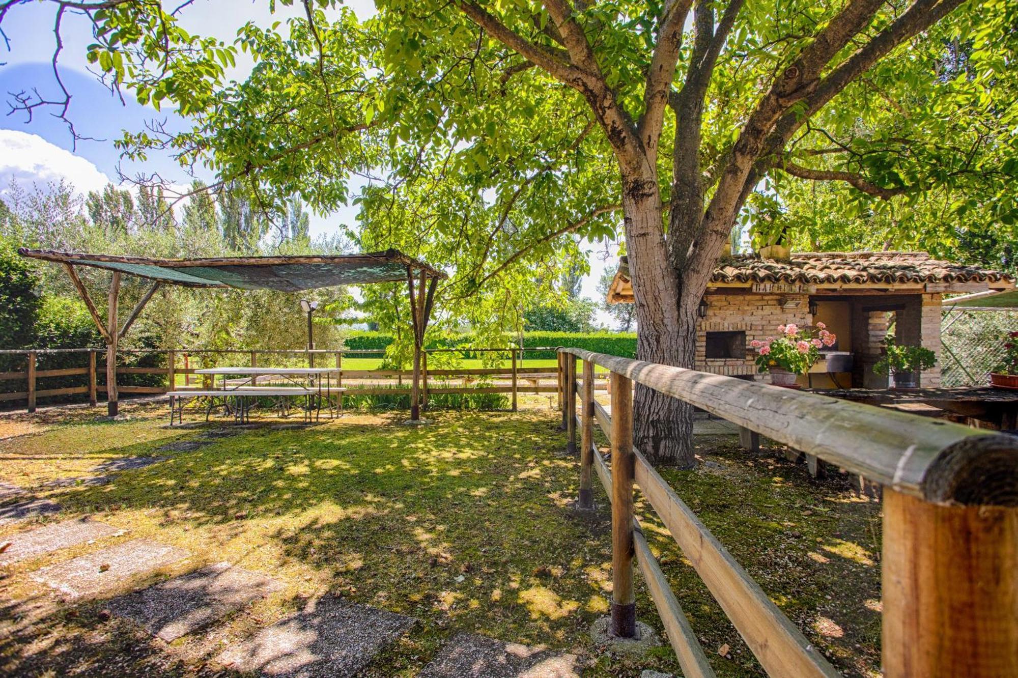 Agriturismo La Mora Assisi Exterior foto