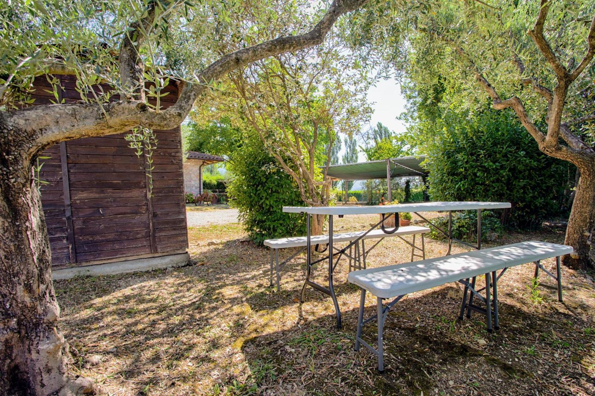 Agriturismo La Mora Assisi Exterior foto